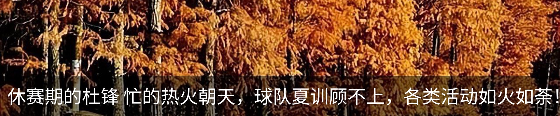 新闻中心